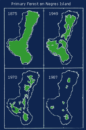 There has been a near complete destruction of the rain forest that once covered almost all the island. Only scattered fragments remain in the most rugged, mountainous areas. (Redrawn from Heaney 1986,1998)  